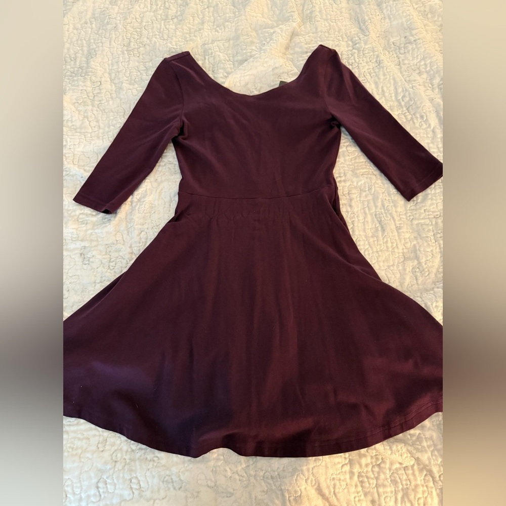 Express Burgundy Dress